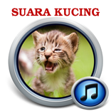Suara Kucing MP3 (Meong)