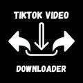 Tiktok Video Downloader