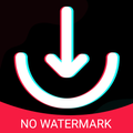 Tik Video Downloader App 2022