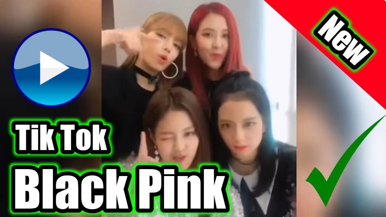 Tik Tok Blackpink 2019 APK for Android Download