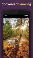 Download HD Videos & Music from TikTok screenshot 3