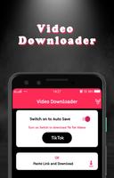 Video Downloader poster