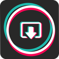 ”Video Downloader for TikTok - No Watermark