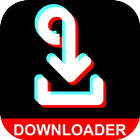 Video Downloader for TikTok -  ikon