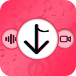 Video Downloader For TikTok 2019