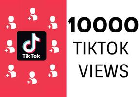 Tiktok - Followers Cheat Ekran Görüntüsü 1