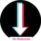 Video Downloader For Tik Tok - without watermark アイコン