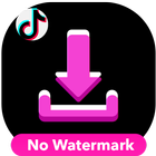 TikTok videos Downloader without watermark Latest icône