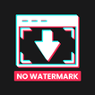 TT Downloader - No Watermark