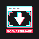 TT Downloader - No Watermark APK