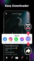TT Downloader - No Watermark poster