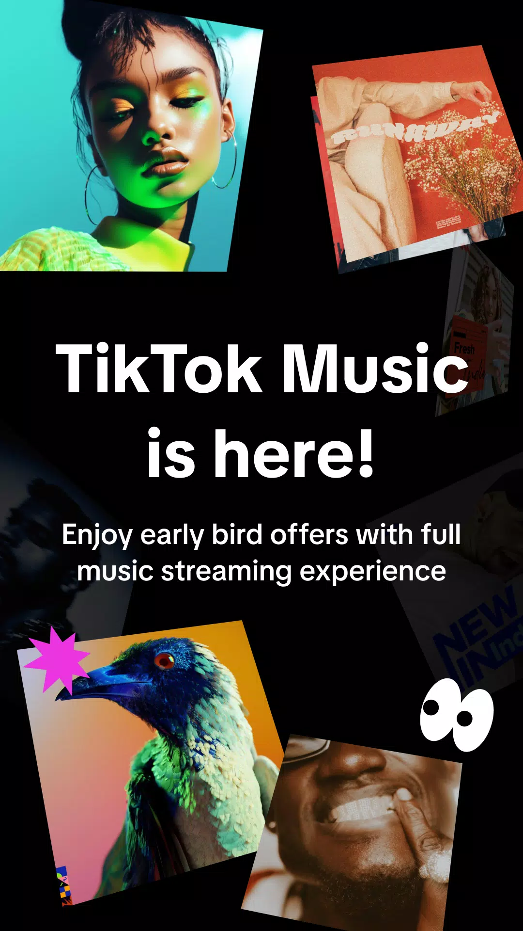 musica para jogar free fire｜Pesquisa do TikTok