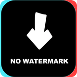 TikTok Download WIthout Watermark