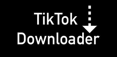 Downloader TikTok capture d'écran 3
