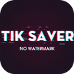 Tik Saver - Tiktok Video Downloader