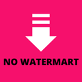 Tik Video Downloader For Tiktok Without Watermark