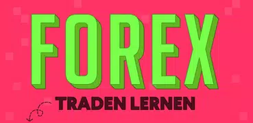 Forex Trading für Anfänger