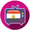 تلفزيوني المصري : تلفزيون عربي مصري