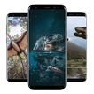 Imagenes de Dinosaurios иконка