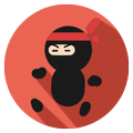 Hidden Ninja