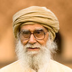 Timeless Wisdom - Quotes simgesi