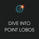 Xplore: Dive into Point Lobos APK