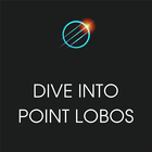 Xplore: Dive into Point Lobos أيقونة