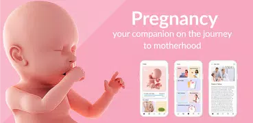 Pregnancy Tracker & Day by Day