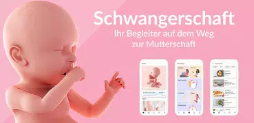 Schwangerschaft Kalender