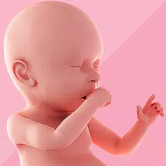 Pregnancy Tracker & Day by Day アプリダウンロード