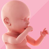 Pregnancy Tracker & Day by Day APK