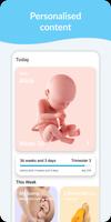 Pregnancy ポスター