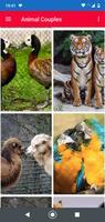 Cute Animal Couples Wallpaper Full HD syot layar 1