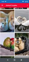 Cute Animal Couples Wallpaper Full HD imagem de tela 2