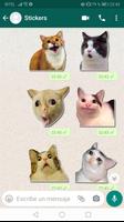 Stickers Memes y Adhesivos de Gatos para WhatsApp 海报