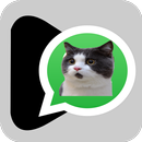 Stickers Memes Adhesivos de Gatos para WhatsApp APK