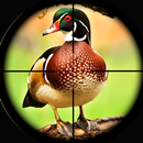 島鳥狙擊手射擊 APK