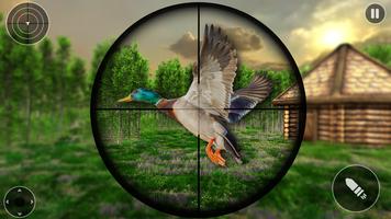 Tireur d'élite des oiseaux de Affiche