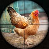 Jungle chicken hunting APK