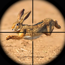 兔子狩獵狙擊手射擊 APK
