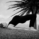 Lisa Pollard Yoga APK