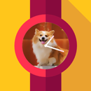 Photo Watch Maker Tizen WearOS APK