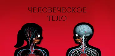Человеческое тело от Tinybop