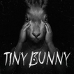 ”Tiny Bunny