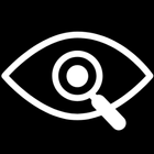 Election Monitor icono
