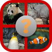Guess the animal - Earn Money
