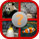 Guess the animal - Earn Money APK