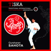 Tiska Beginner to Black Belt APK