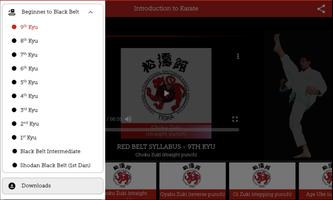 Tiska Beginner to Black Belt capture d'écran 3