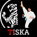 Tiska Beginner to Black Belt APK